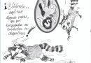 Fauna silvestre o sabotaje: mapaches invaden ayuntamiento de Acapulco. Cartón: Nachos 