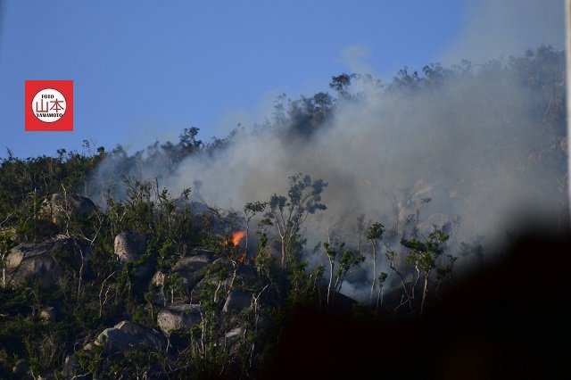 Incendio forestal en Acapulco suma más de 100 horas.